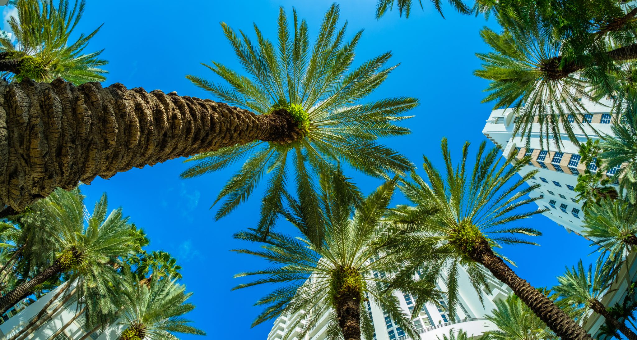 How to Plan a Stress-Free Sports Travel Trip for Your Team